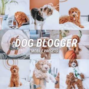 DOG BLOGGER